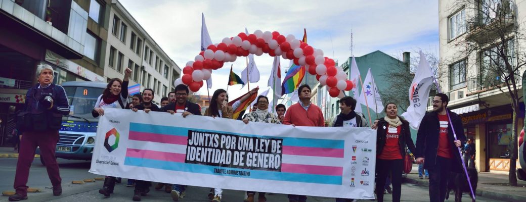 Concepción-Marcha-Frentedeladiversidad-otdchile
