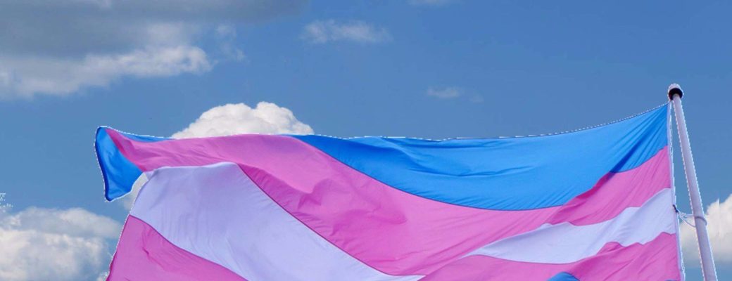 Banderatrans-otdchile