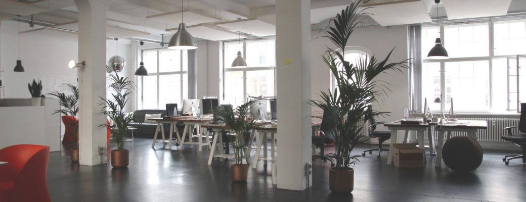 Descripcion-imagen-otdchile