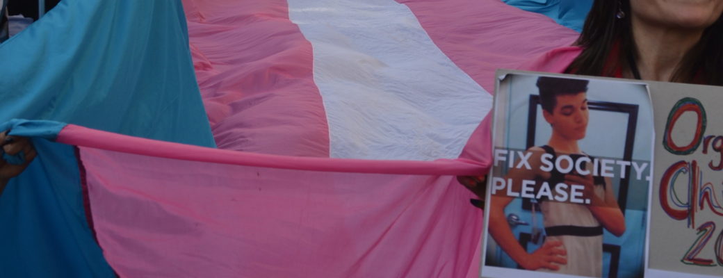 Bandera-trans-otdchile