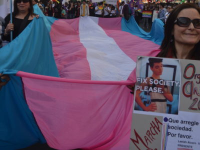 Bandera-trans-otdchile