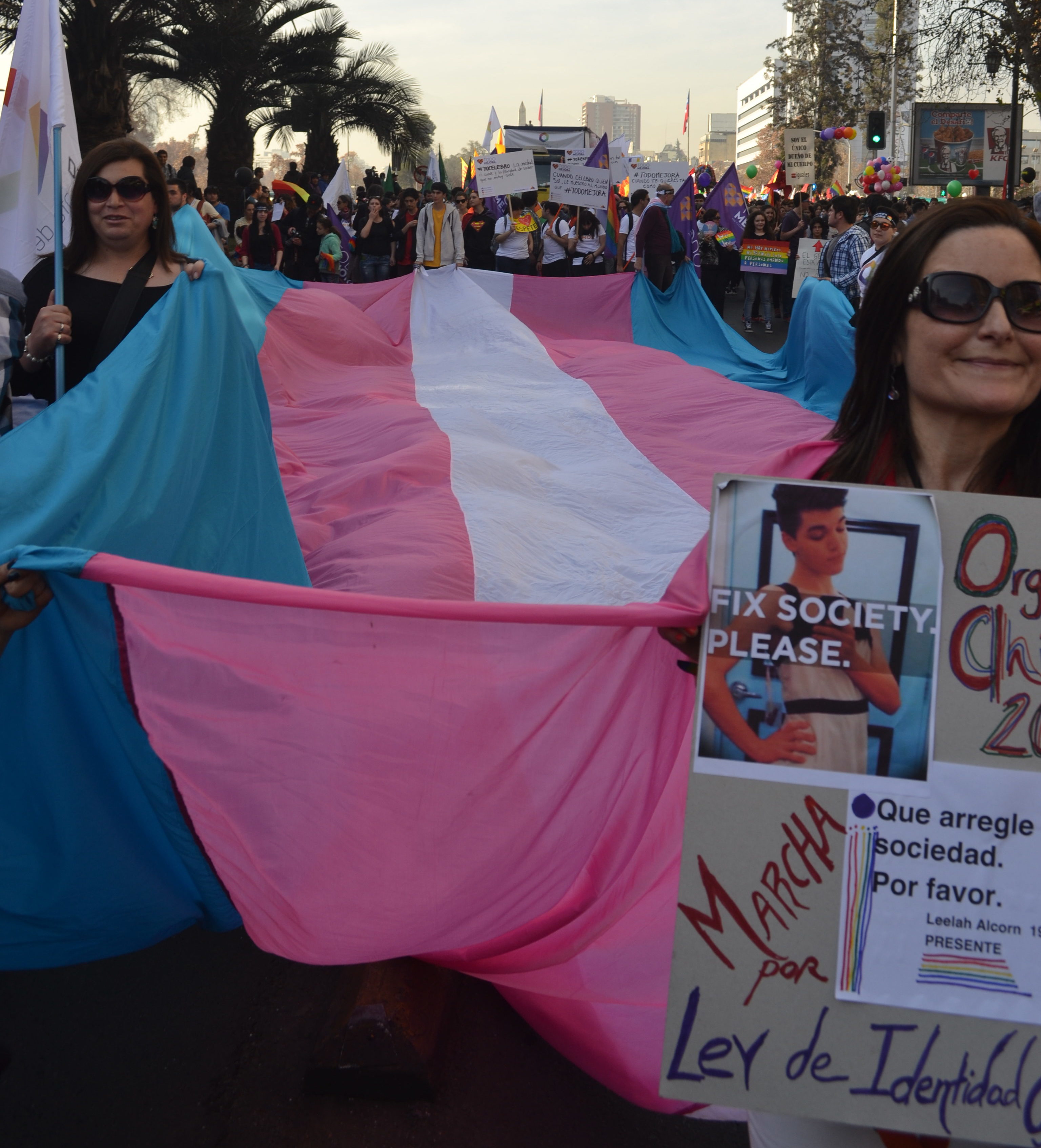 Bandera-trans-otdchile