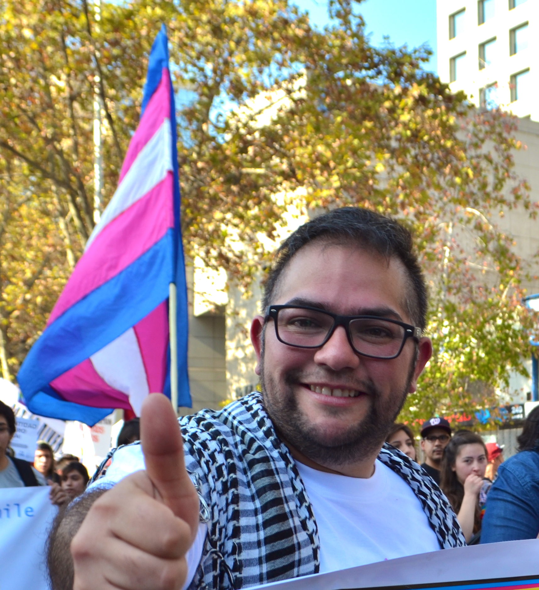 francofuica-otdchile