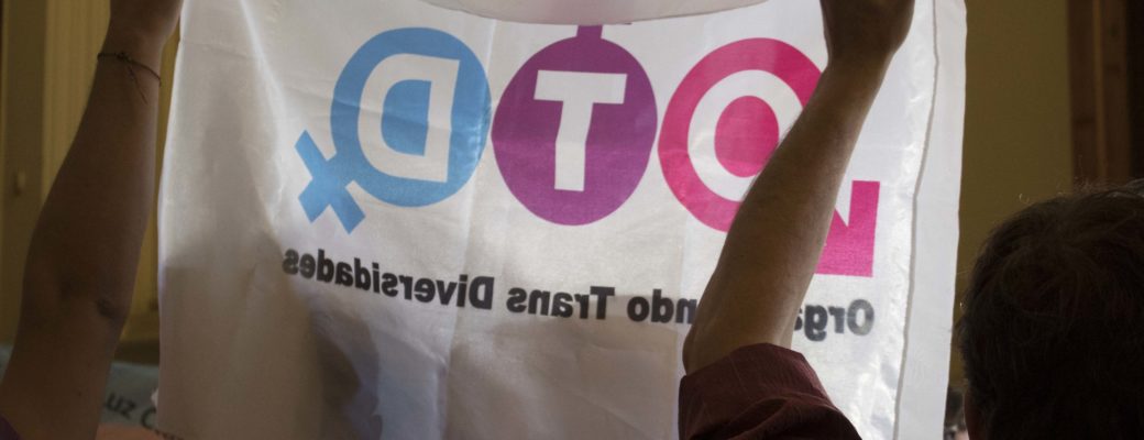 Bandera-trans-otdchile