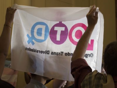 Bandera-trans-otdchile