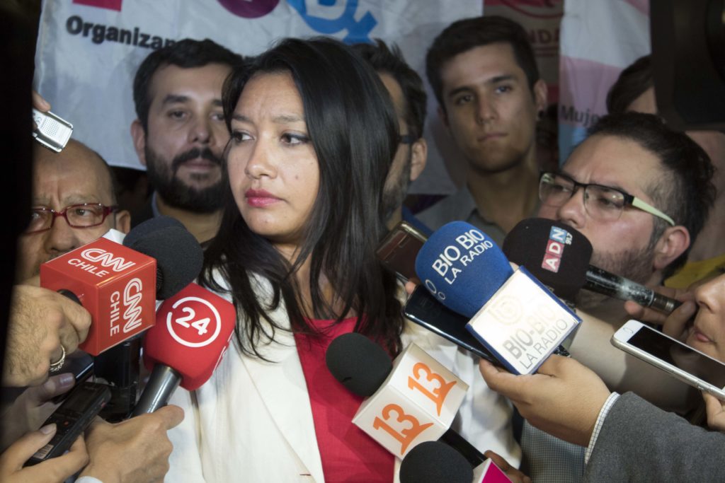 Diputada Natalia Castillo