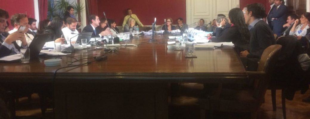 Comisión-mixta-ley-identidad-genero-otdchile