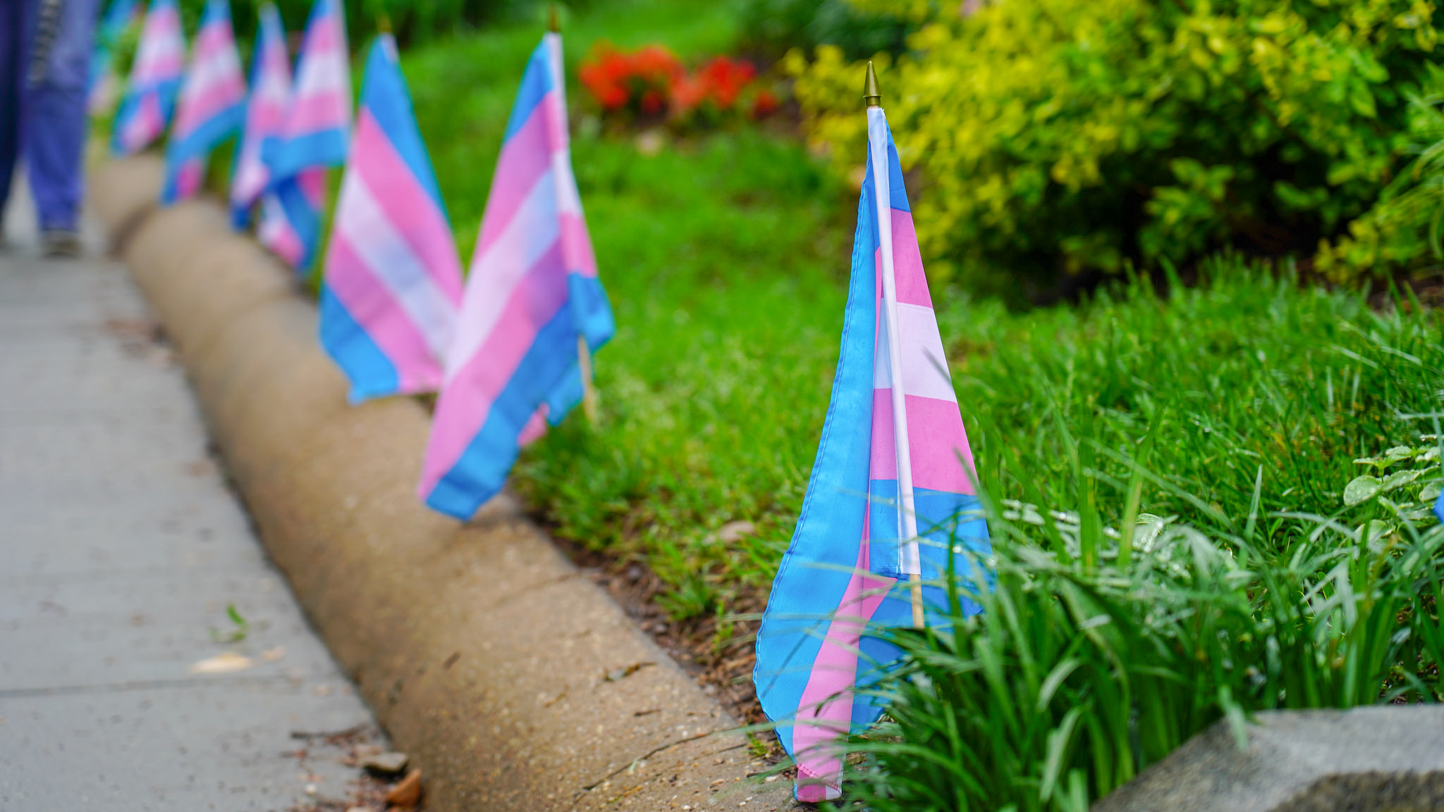 Los prejuicios y la discriminación hacia los trans es por desconocimiento