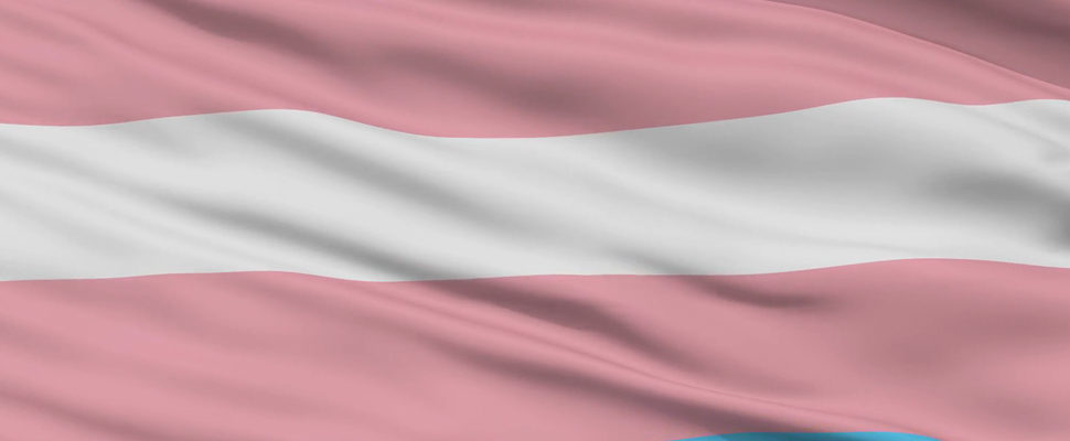 Bandera-trans-otdchile