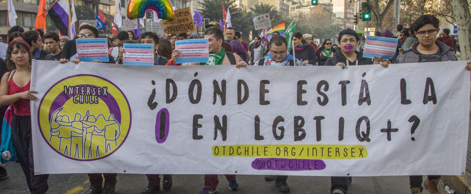 Intersex-marcha-otdchile