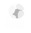 ilga