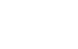 logotipo_OTD organizando trans diversidad