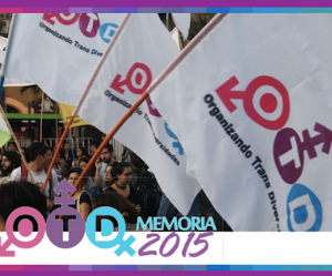 reporte transparencia otdchile 2015