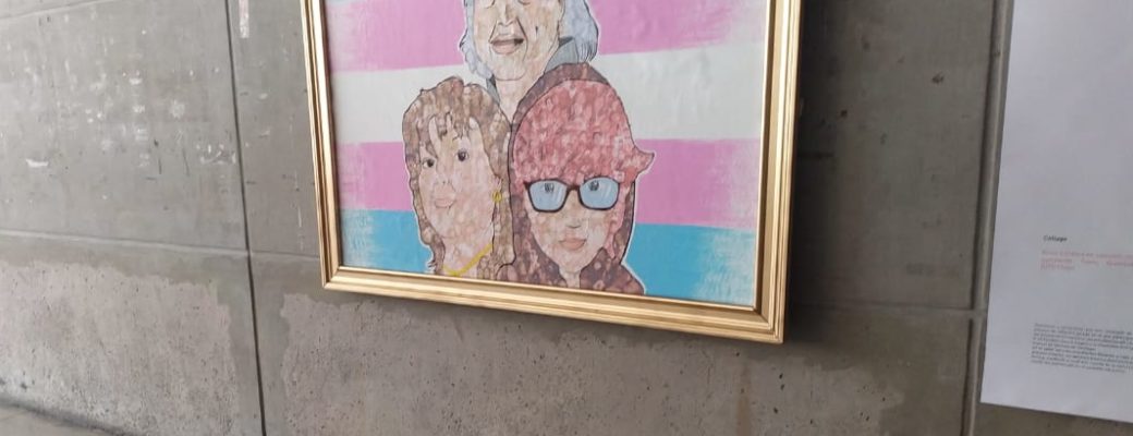 Trans Work Of Art At The Santiago Library