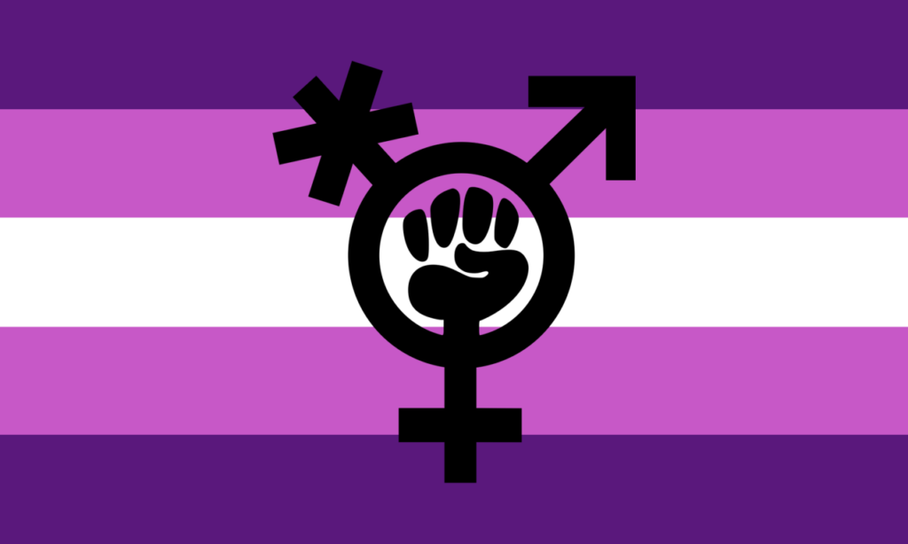 Logo Tranfeminismo