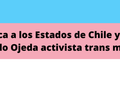 Arta Pública A Los Estados De Chile Y Venezuela, Fernando Ojeda Activista Trans Migrante